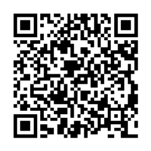 城主大人当年定下的规矩是只有在我天元大陆受到威胁时二维码生成