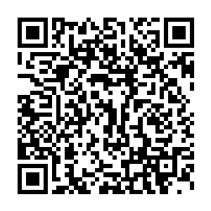 城主大人焦急匆忙中就带着全程的卫队和府中绝大多数人去救灾了二维码生成