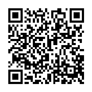 城主府中的费魔帝和牛魔皇必然有一人前去支援二维码生成