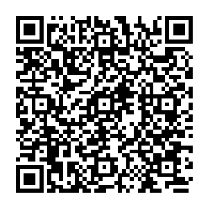 城主府中酣畅淋漓的杀戮和大火已经让府中的仆役和奴隶们一个个的逃出了城主府二维码生成