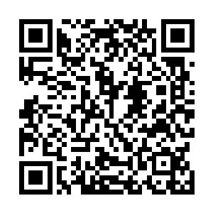 城主府地底庞大的建筑可以容纳下整个光辉之城的所有人二维码生成