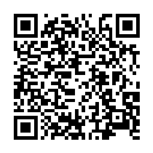 城主根本就想不到眼前的慕杰已经换成了另外一个二维码生成
