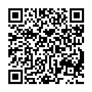 城内建筑布局和以往在电视剧中看到的古代城郭有所不同二维码生成