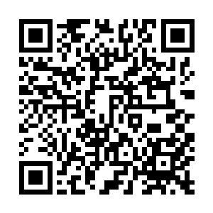 城堡操场上排列成十排的二百名农民兵在斯塔恩的口令下二维码生成