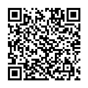 城墙上的众人与源源不断抵达的读书人援军前往县文院二维码生成