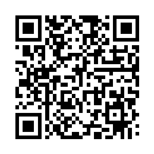 城墙之上排满了密密麻麻的元气大炮二维码生成