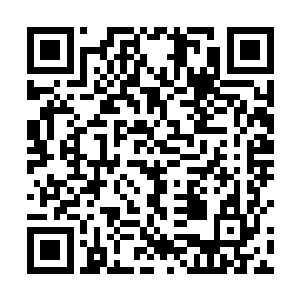 城市之下汹涌的暗流更是连接向这个天下的每一处地方二维码生成