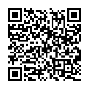 城市垃圾处理中心专门还有废旧机器人回收处理点二维码生成