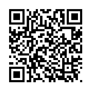 城市建设应不应当加快进度加大力度二维码生成