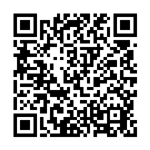 城市的建筑群从几十里外一直延伸到了山脚附近二维码生成