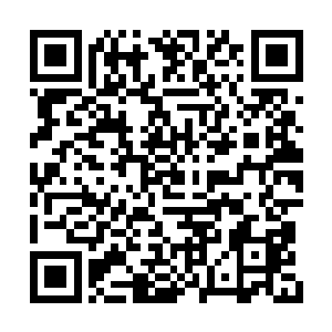 城市的每一条街道看在雨果眼睛里都觉得差不多二维码生成