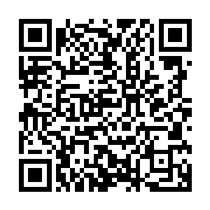 城楼上的众人便看到大军之中一身白衣白发的墨修尧策马而来二维码生成