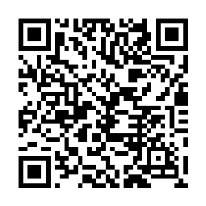 城楼下是一道只有前面的飞鸿关大门三分之一宽度的城门二维码生成