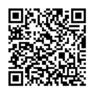 城池之中的人都知道了青火部落如此大动作的缘由了二维码生成