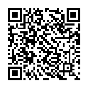 城里城外根基深厚的不少有名有姓的大户和有钱人二维码生成