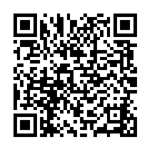 域主们一道道凌厉的气机便如锁链一般将杨开锁定二维码生成