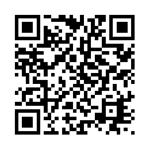 域主们对这四门八宫须弥阵的了解二维码生成