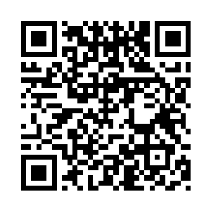 域界的屏障上出现了大片大片的裂缝二维码生成