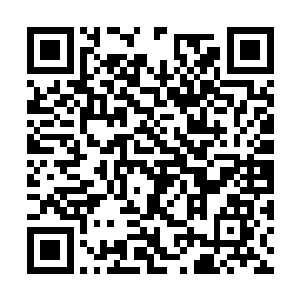基于手机通讯录这一层社交网络的应用一直是空白二维码生成