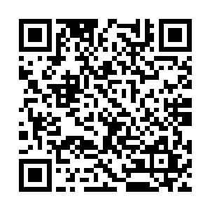 基德曼与他们之间的血缘关系实际上已经非常远了二维码生成