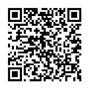 基本上十块钱就可以维持一天的食物还会有多余二维码生成