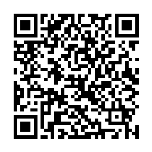 基本上只要选择修魔的人第一个要修习的就是这个招数二维码生成