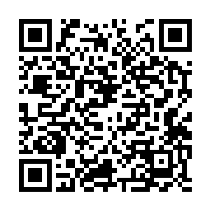 基本上可以横扫所有进入狂神秘境中的年轻弟子了二维码生成