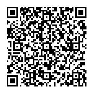 基本上对于魔兽森林除了核心和东部之外也都走遍了还没见到一个地方的元素浓度能跟这里比呢二维码生成