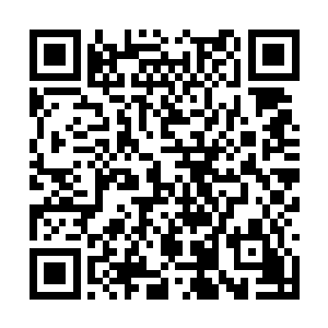 基本上就不用太过担心会遇到什么强大可怕的人了二维码生成