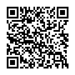 基本上所有的步入室橱柜都已经被塞得满满当当二维码生成