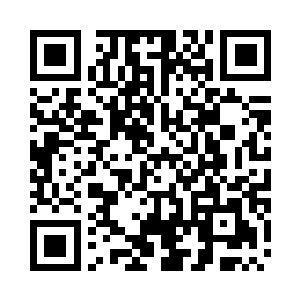 基本上是十发固定弹匣的半自动手枪二维码生成