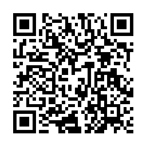 基本上每一个区块都有身着西装手持对讲机的便衣保安二维码生成