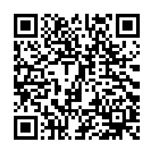 基本上每一个石灵都要面对三个妖王级别的强者二维码生成