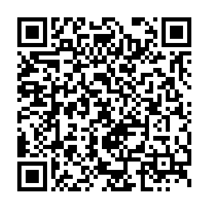基本上每次被摄下的神器超过一定的数量之后广场的禁制就会崩溃二维码生成
