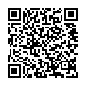 基本上没有发出什么声响就已经潜入了房间里面二维码生成