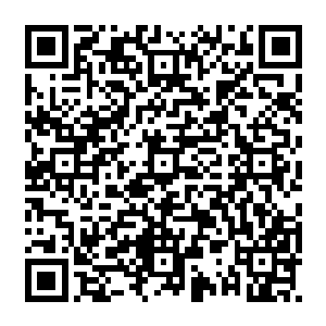 基本上狂人部落旗下有潜力的年轻弟子都已经抵达了这里……进入狂神秘境的时间二维码生成