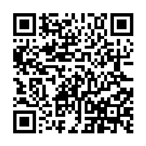 基本上第十六届金鸡百花电影节的申办地已经确定了下来二维码生成