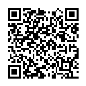 基本上能够有一个项目能够签署意向性的投资协议二维码生成