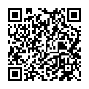 基本上跟天圣宗还有百里世家的大阵不相上下了二维码生成