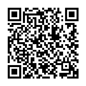 基本上这个宗师级中期的保镖已经损失了超过一半的战斗力了二维码生成