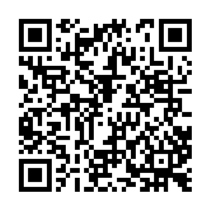 基本上都将心思放在了李显贵送的这一栋别墅来了二维码生成