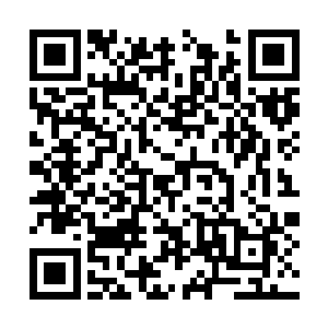 基本上都是为了有头有脸的人来这里赌钱所准备的二维码生成