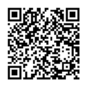 基本上都是大哥和大管家做出来的不过散出去不少二维码生成