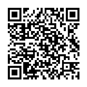 基本上龙傲天找不出其他的地方可以跟这里相比了二维码生成