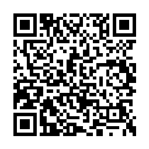 基本已经把妖魔海内能吞吃的东西吃的差不多了二维码生成