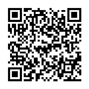基本结构与曾经自己印象中的苏家并没有太多变化二维码生成