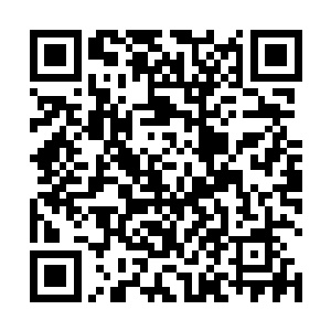 基纽特战队那五人的战斗力探测器皆是发出了蜂鸣之声二维码生成