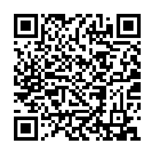 基调仙树星乃是一颗以仙树为根基而存在的星球二维码生成