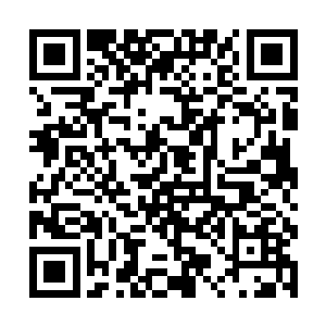 堂堂一国之君总该不会编出这样拙劣的谎话企图搭讪二维码生成