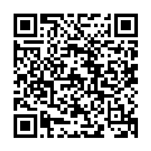 堂堂叱咤一方的苏家竟落到要必须打工才能糊口的地步二维码生成